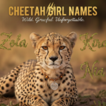88 Cheetah Girl Names: Fierce, Elegant & Unique Picks
