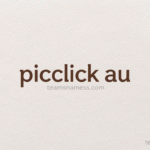 picclick au​
