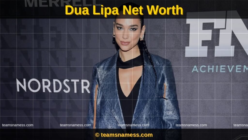 dua lipa net worth