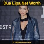 dua lipa net worth