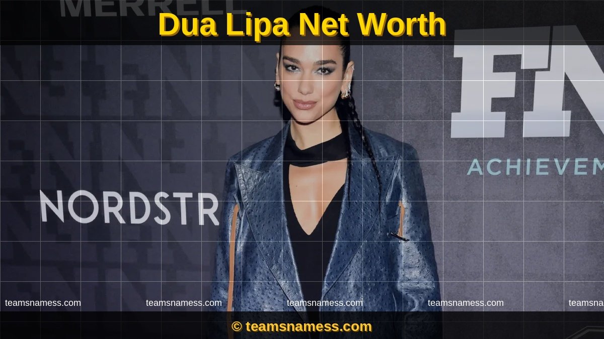 dua lipa net worth